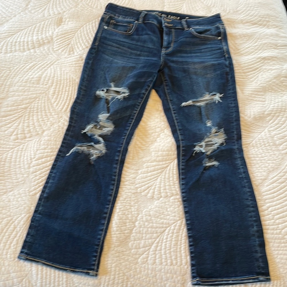 American Eagle Women’s Artist Crop Jeans